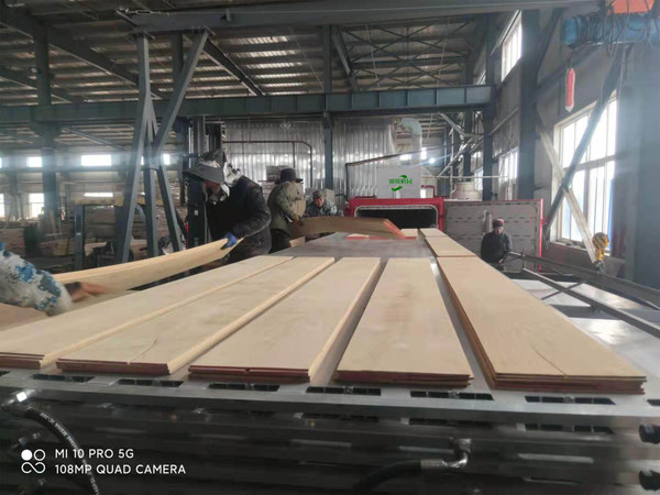 方型木材真空窑